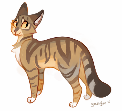 geckozen:ughgh… i love her… leafpool with tortie-tabby markings. 2018