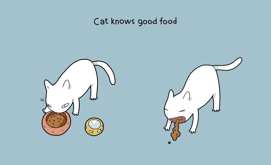 boredpanda:    10 Benefits Of Having A Cat  