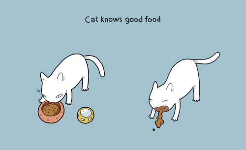 boredpanda:    10 Benefits Of Having A Cat  