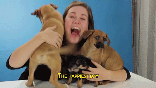 sizvideos:  Watch drunk people getting surprised by puppies 