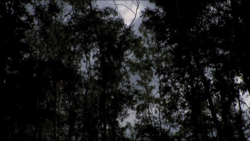 kinomiroir:Apichatpong Weerasethakul, A Letter to Uncle Boonmee