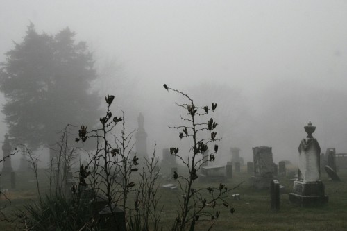 robinmahboeb: Fog and cemeteries. These are a few of my favorite things. Photos @robinmahboeb Happy 