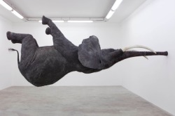 zeroing:  The Elefant in the Room