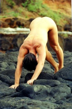 Downward facing dog ventusvenereae: Lava 5 by h4tphoto