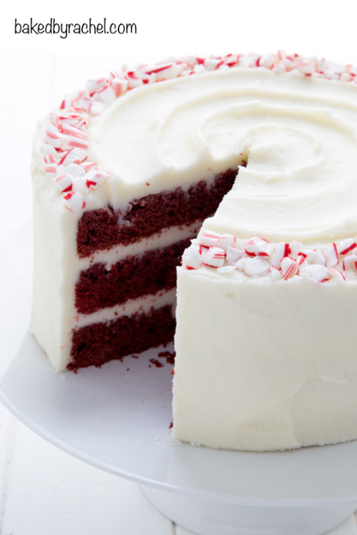 ransnacked:  red velvet layer cake with peppermint cream cheese frosting | baked by rachel