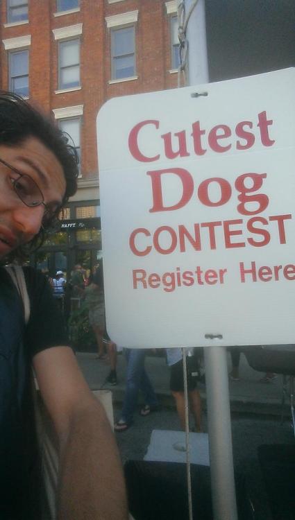 clevelandpuppy2015:  Dat facial expresion. (selfies are haaaardd *whimper* :p) Do you think I’d win? At the Cleveland Warehouse District Street Festival