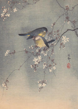 Hoodoothatvoodoo:  Ohara Koson &Amp;Lsquo;Finches In Cherry Tree&Amp;Rsquo; 1920