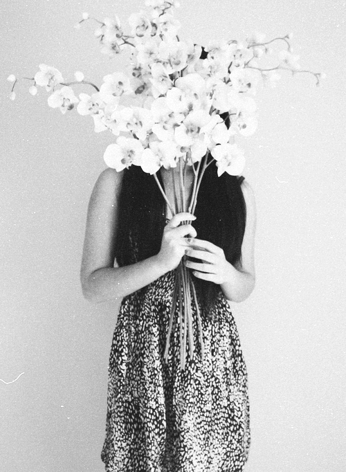 d-i-a-b-o-l-i-q-u-e-s:  DIA | TWI | FB 