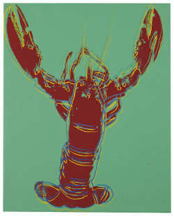 thunderstruck9:Andy Warhol (American, 1928-1987), Lobster, 1982. Synthetic polymer and silkscreen ink on canvas, 20 x 16 in.