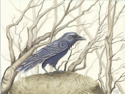 canvaspaintings:  Celtic Raven Print by RaevynCarney