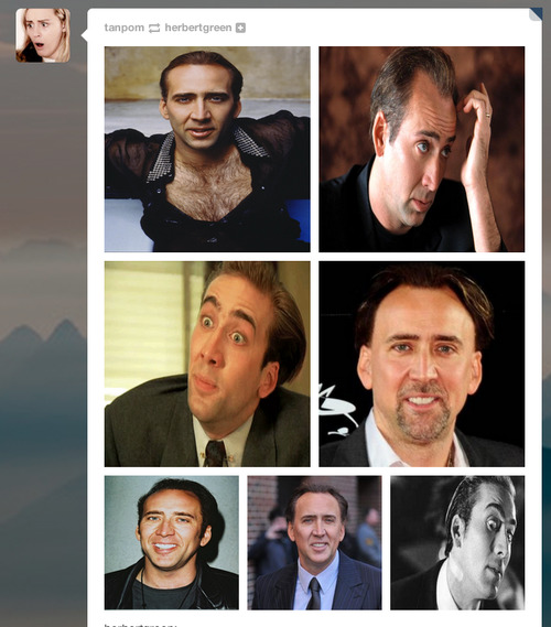 hellanerd:  hellanerd:  hellanerd:  hellanerd:  MY ENTIRE DASH IS NICOLAS CAGE WHAT DID I DO     DID YOU THINK I WAS KIDDING  YOUTUBE NO   MY SISTER CAN GO TO HELL 
