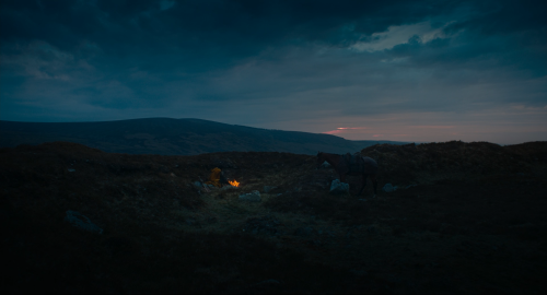 The Green Knight (2021)Dir. David LoweryCinematography: Andrew Droz Palermo