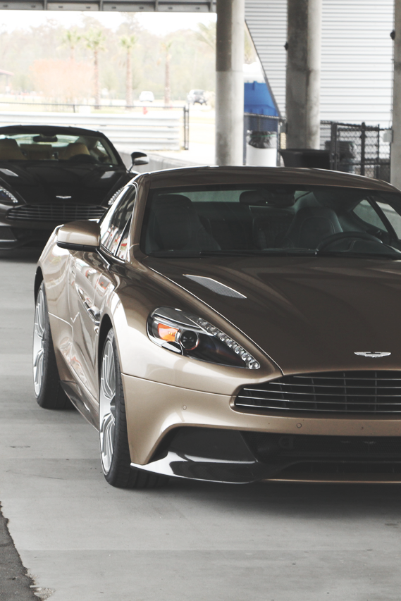 herpyderpyk:  ♛
