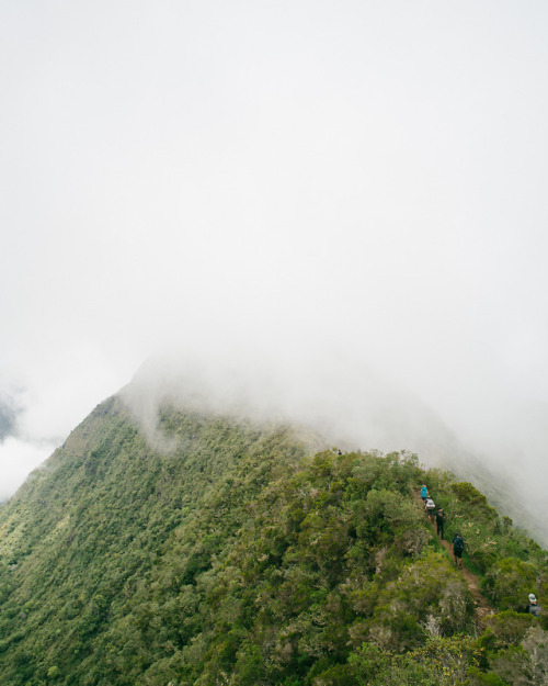 bazaretcathedrale:De Dos d’Âne à Roche Écrite, La Réunion, 2018