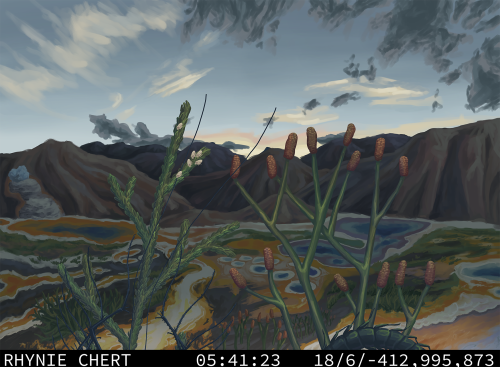 Trailcam: Rhynie Chert Biota, Fossil Deposit Known For It's Very Detailed Fossils Of Plants And Invertebrates