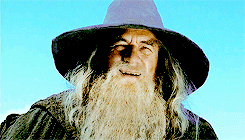 alecslighwood:lotr rewatch: the lord of the rings: the fellowship of the ring “I wish the ring had n
