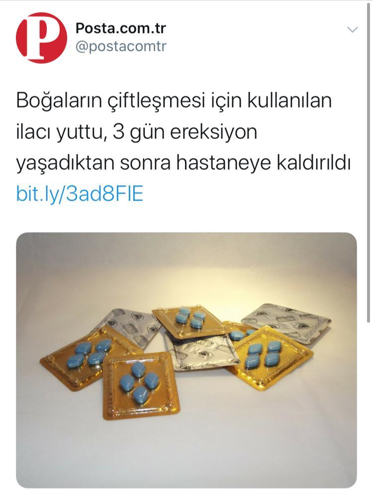 P Boğaların çiftleşmesi...