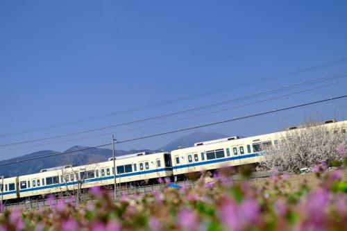 8000