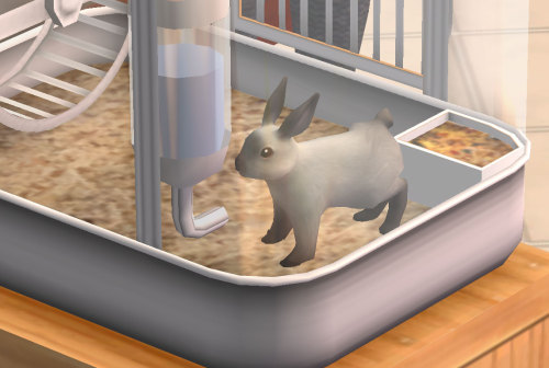 Baby Rabbit Cage For The Sims 2