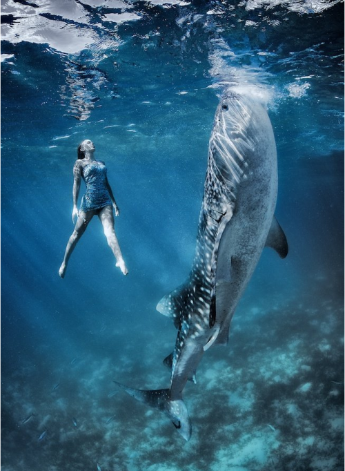sixpenceee:  Whale Shark Fashion ShootThese adult photos