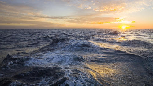 negativelyoptimistic:  People need to appreciate the true beauty of nature.
