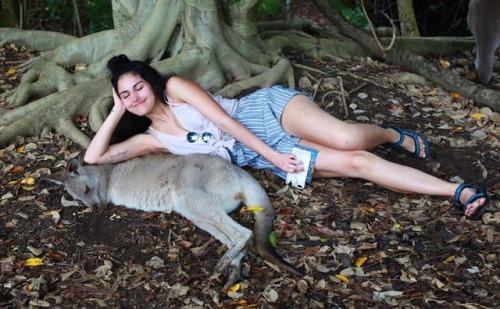 fun fact: both creatures pictured spend most of the day asleep! #australiazoo (at Australia Zoo) htt