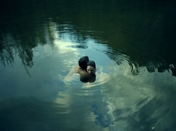 aquaticwonder:  Submerge