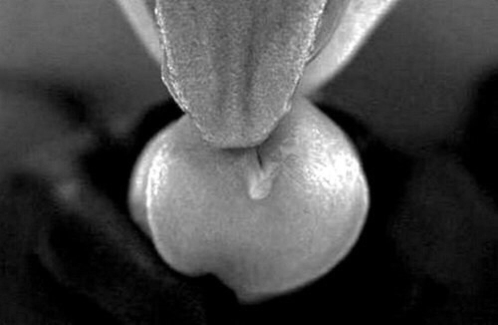 inquisitiveaussie:  Mmmmmm 👅👅👅