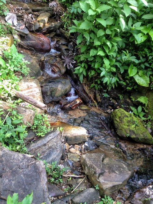 java-jungle:  culturallywild:  A waterfall on the side of the road.  Copyright 2015 Troy De Chi. All