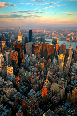 plasmatics:  NYC [via/more] By André Viegas