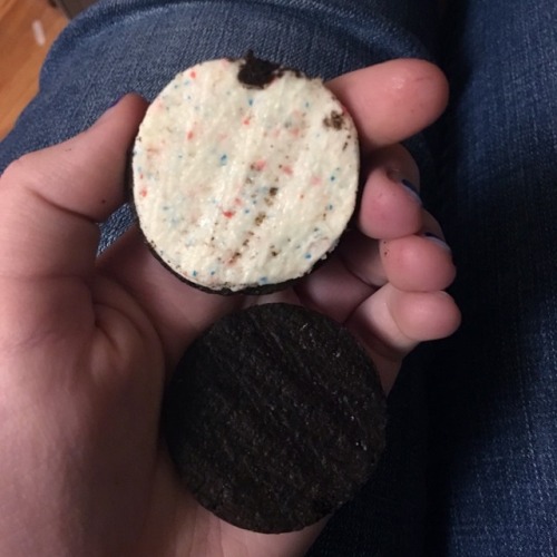 birdthatlookslikeastick: athenasdragon: Here’s my review of fireworks Oreos, which I found one