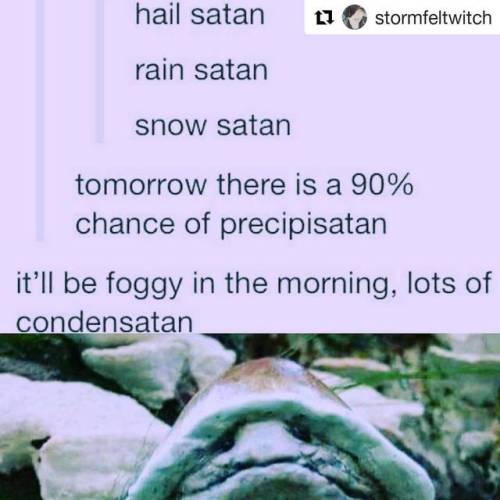 #Repost @stormfeltwitch (@get_repost)・・・#memecollage #foundonfacebook #memestoliveby #wisewordstho #