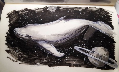 The Most Lonely Creature In The World...lonely Lonely Lonely Whale This Was Inspired By A BTS Song....