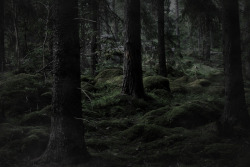 Heathenharnow:  Där Långa Skuggor Ruva, Part Iii Xiii© Heathen Harnow - Please