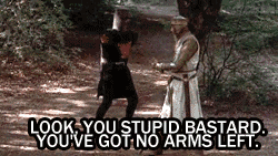 leopardheart27:  Let us strive to be as determined as the black knight in all our ventures. 