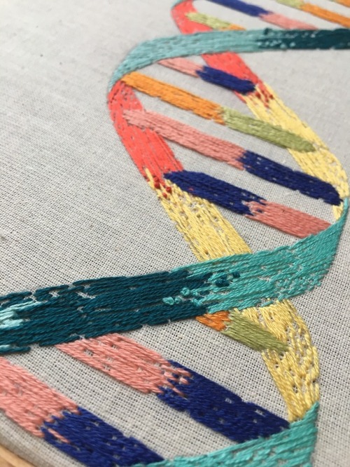 moleculart: embroidery: DNA double helix I used 2 threads (vs. my usual 6) to maintain the finer det