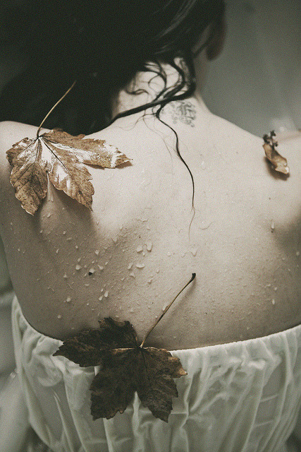 batsandharmony - back by monia merlo on Flickr.