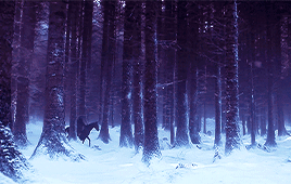 deeptheon:color memegame of thrones + summer/winter colors for anonymous