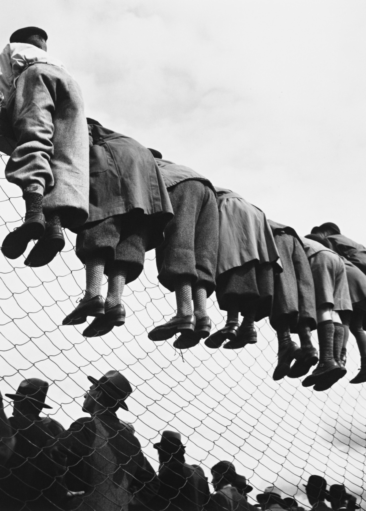 minusculus:  by Emil Heilborn, At the Dog Races 1934