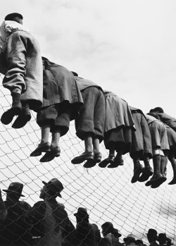 Minusculus:  By Emil Heilborn, At The Dog Races 1934