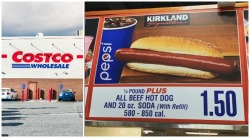 cryptid-sighting:Costco hot dog mood board