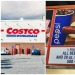 cryptid-sighting:Costco hot dog mood board