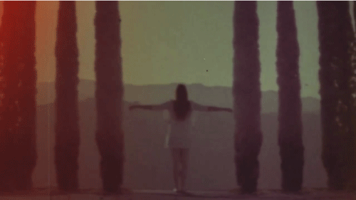 rudamente-tierna:  Fall on We Heart It - http://weheartit.com/entry/56736452/via/neverforgetsmile