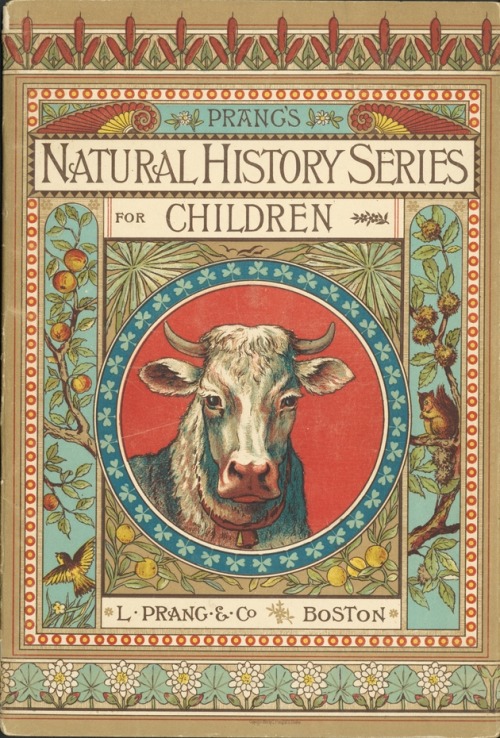 Cow Family. Prang’s Natural History Series for Children. Norman A Calkins and Abby Morton Diaz