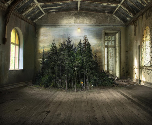 itscolossal: Photomontages That Trace Light Through Overgrown Countrysides and Abandoned Interiors b