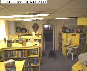 paranormaldaily:  Willard Library spirits captured on their webcams.