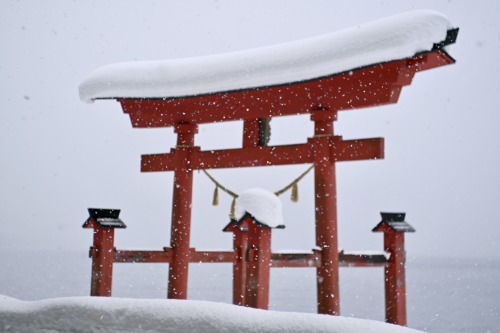 雪の田沢湖。