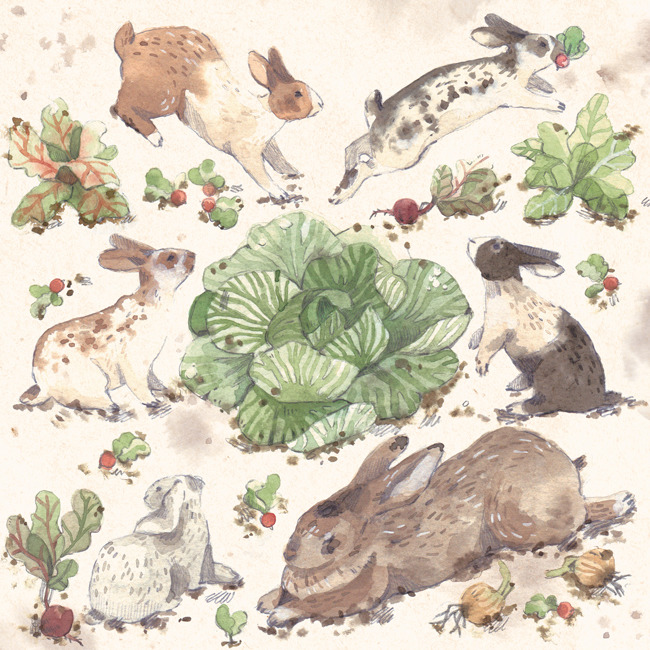 laurenwilmshurst:  laurenwilmshurst:   “Rabbits are creatures of warm volatile