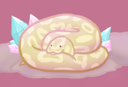 squiggl3:A beautiful snake bab inspired by @william-snekspeare‘s art and a beautiful snake I saw on their blog!