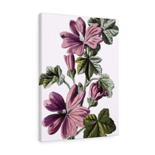 Vintage Botanical & Floral Artwork Canvas Prints June Sale 15% on All Unframed Canvases Get your